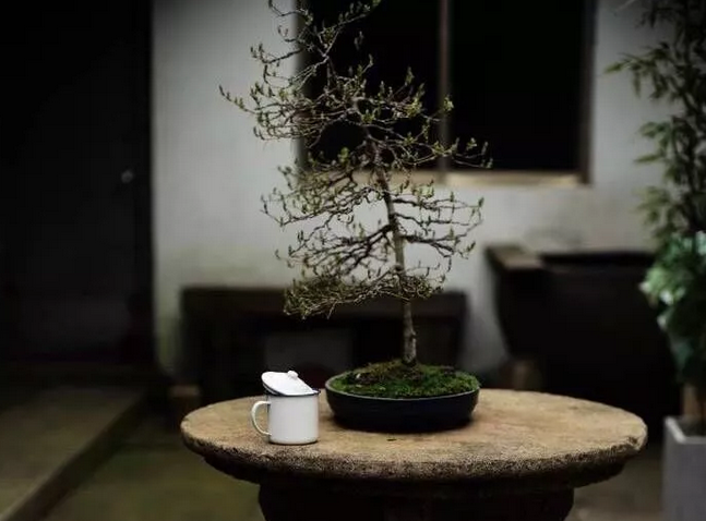 青島中式庭院設計