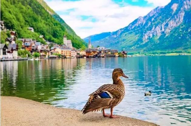 青島別墅景觀設(shè)計(jì) 青島別墅景觀設(shè)計(jì)