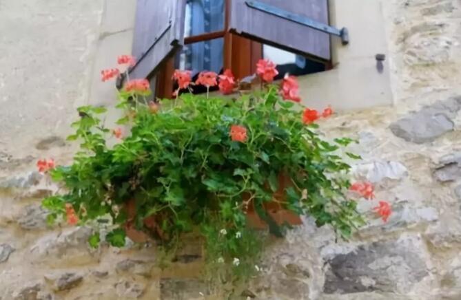 青島別墅景觀設(shè)計(jì) 青島別墅景觀設(shè)計(jì)