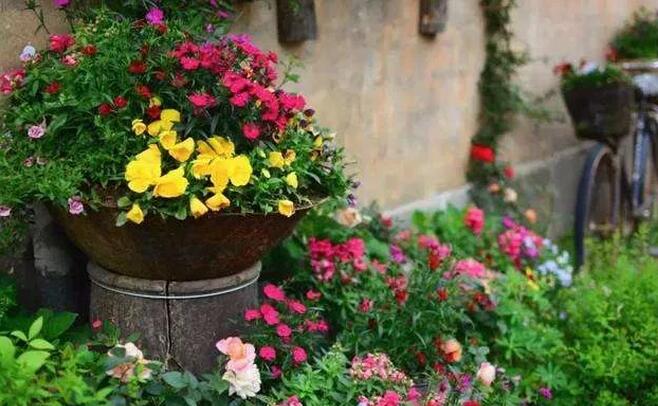 青島庭院設(shè)計(jì) 青島庭院設(shè)計(jì)