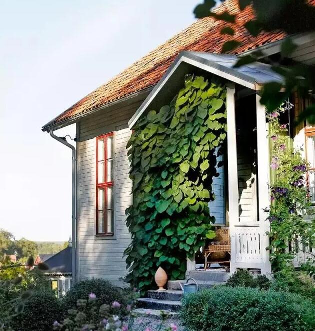 青島庭院設(shè)計(jì)