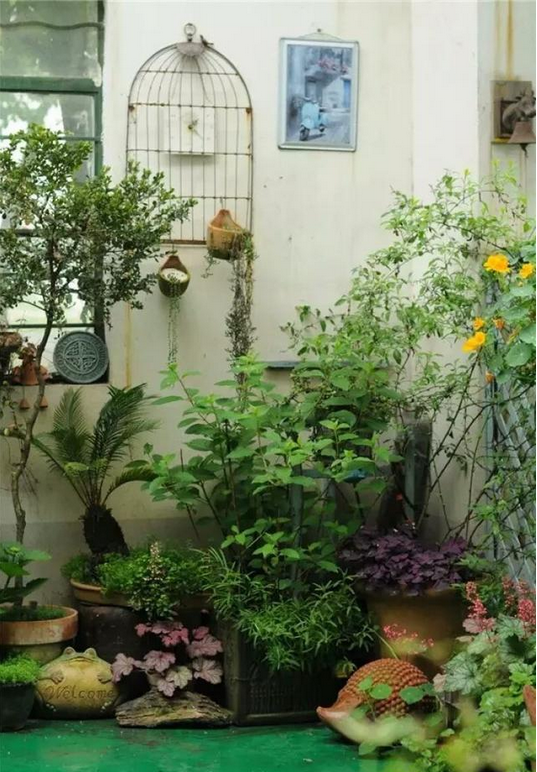 青島花園設計 青島花園設計