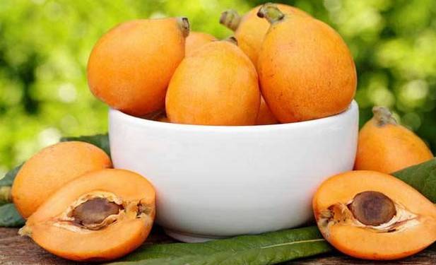 芒種青島庭院設(shè)計(jì)美事：果熟