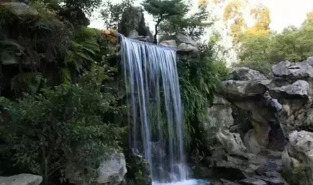 圓潤的庭石 圓潤的庭石