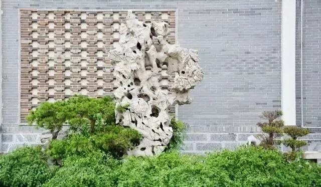 稀奇古怪的天然奇石 稀奇古怪的天然奇石