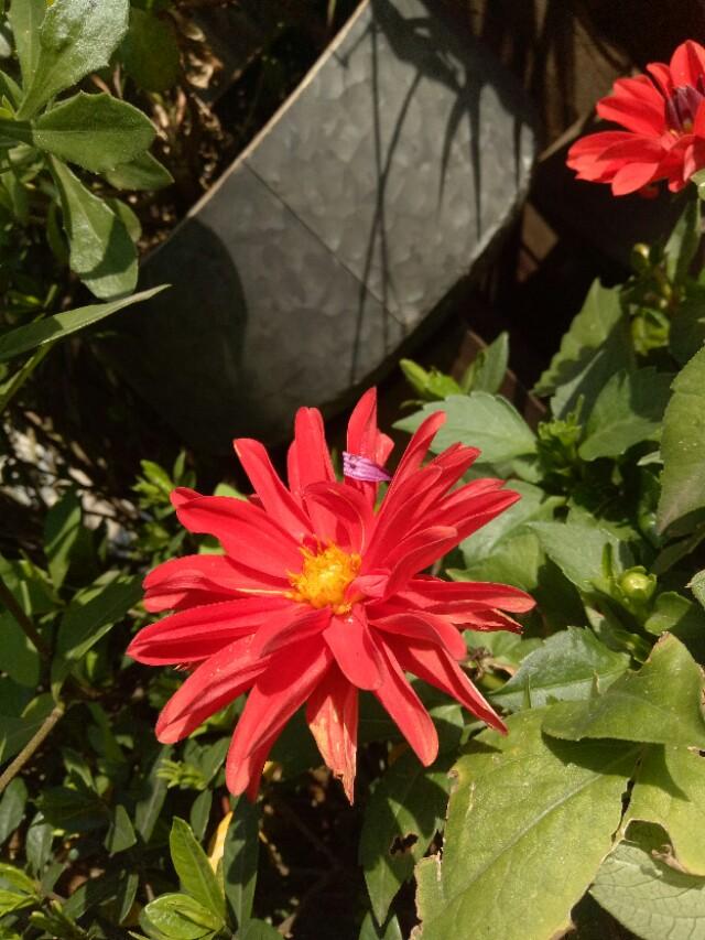 山東庭院設(shè)計(jì)公司 山東庭院設(shè)計(jì)公司