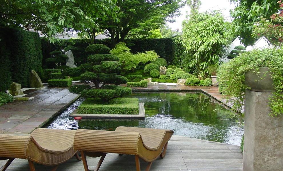 庭院花草植物 庭院花草植物