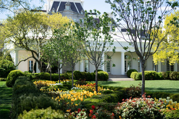 由于不太懂庭院景觀設(shè)計，特朗普總統(tǒng)一家被罵上熱搜榜