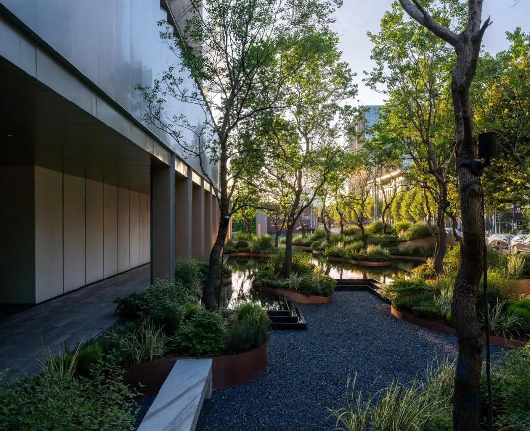 保姆級庭院養護全流程解析