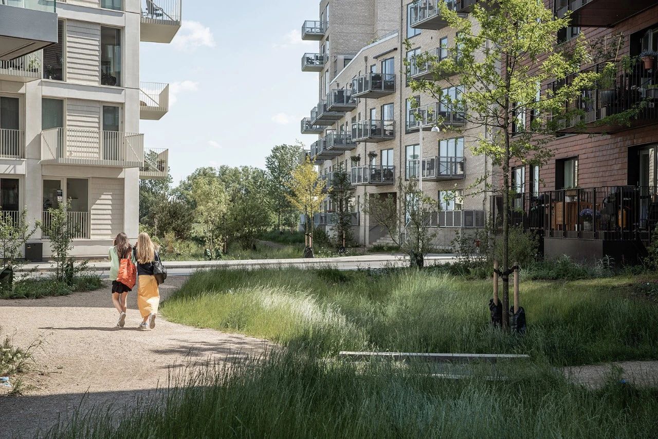 防洪于未來：郁郁蔥蔥的景觀網絡