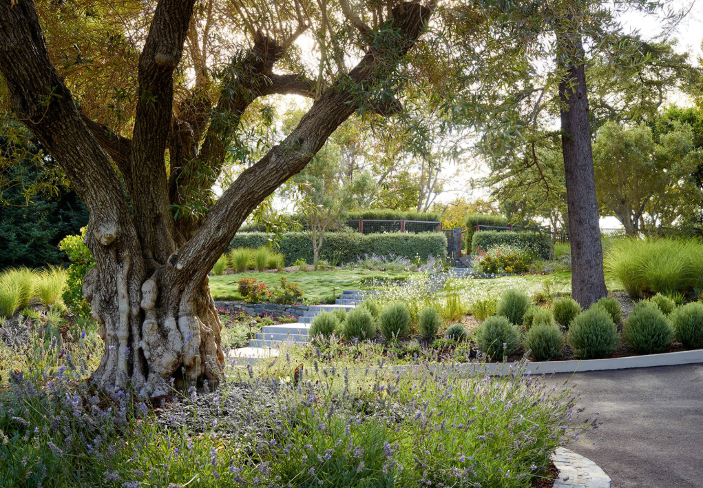 在花園中回歸自然，這四類熱門風格哪個是你的心頭好？
