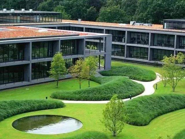 花園中不可或缺的元素——草坪，怎么設計才獨特好看呢？