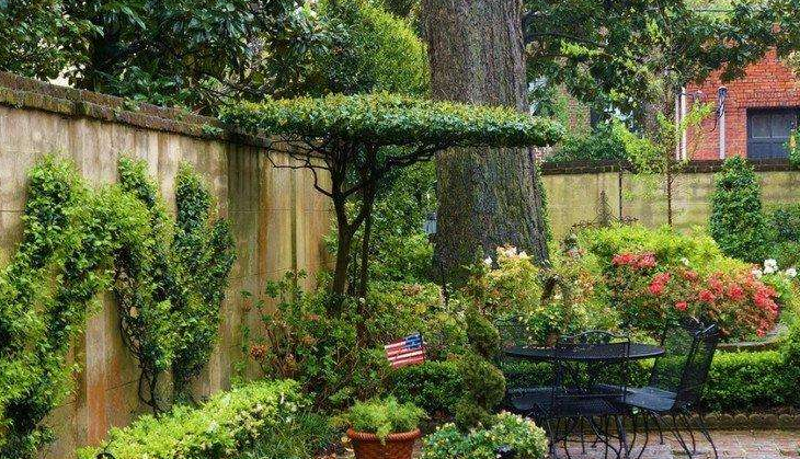 庭院里的種樹很簡單？其實大有說法~