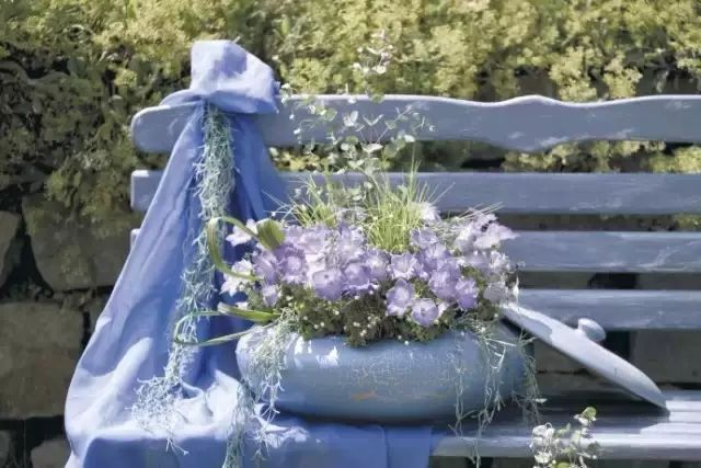 玩轉容器花園，這份攻略必須收藏