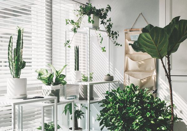 把陽臺(tái)改造成小花園，這7種風(fēng)格，你最喜歡哪一種？