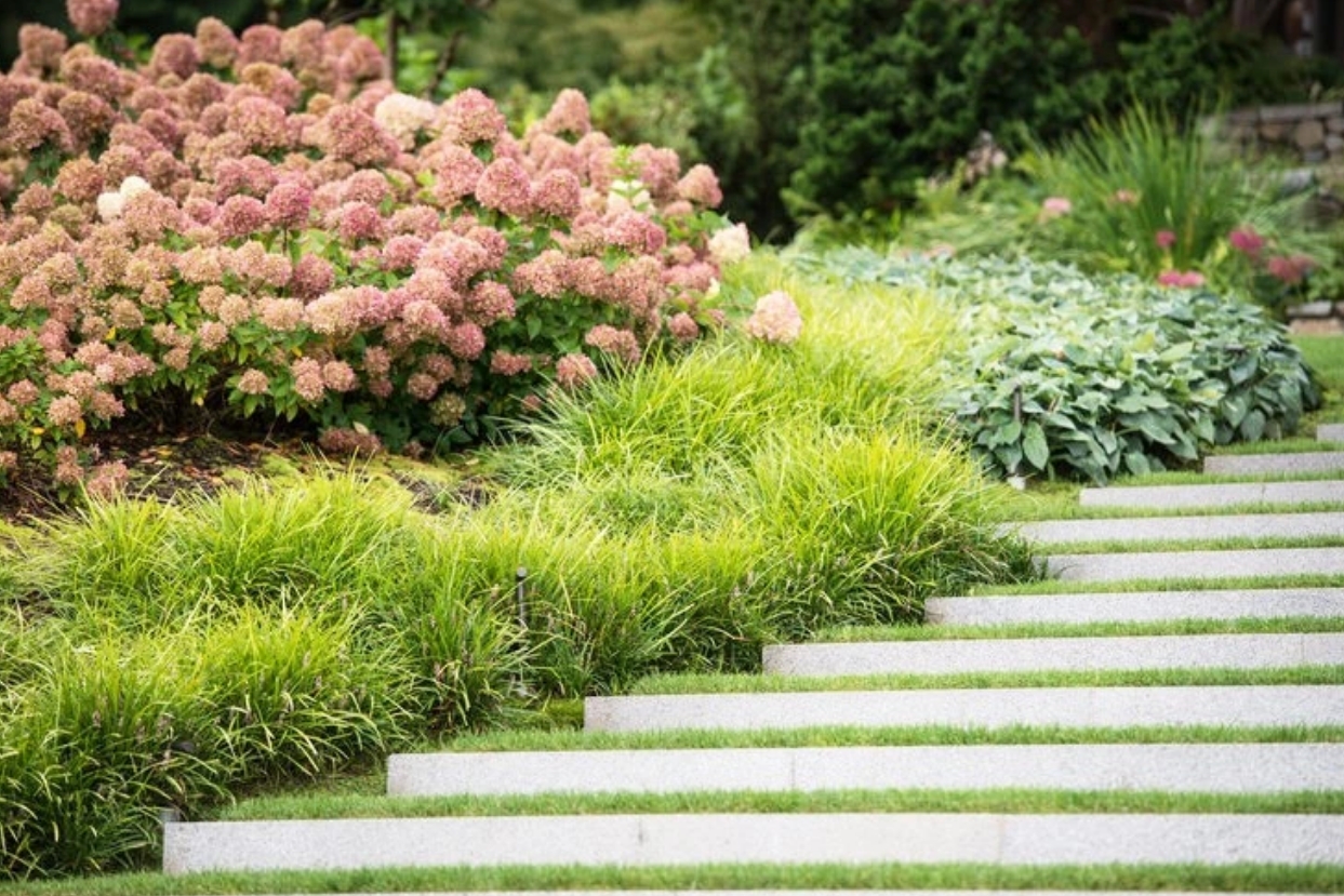 花園很蕭瑟？那一定是少了它！庭院觀賞草，為冬天增添色彩的不二之選！