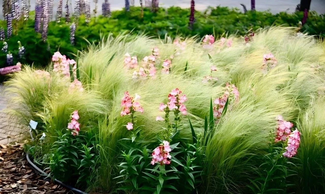 共建親子花園，讓孩子接觸身邊的大自然，度過快樂的戶外時光