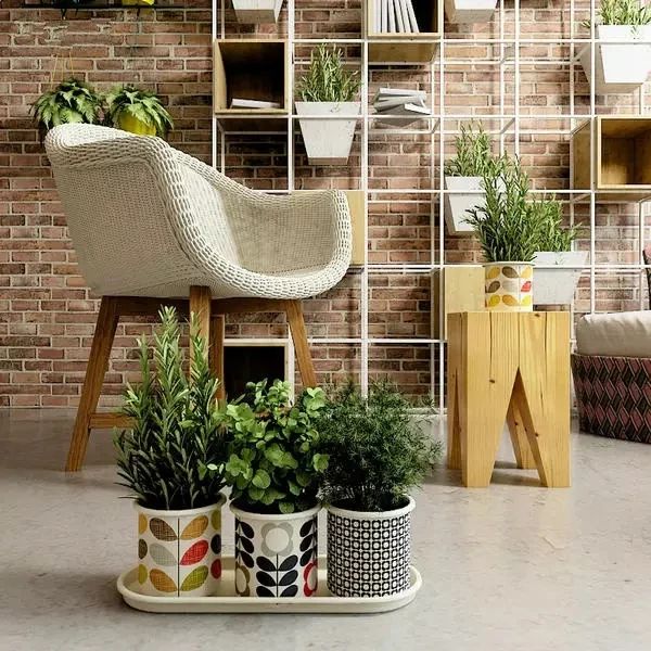 如此精致的室內花園，你也能擁有！