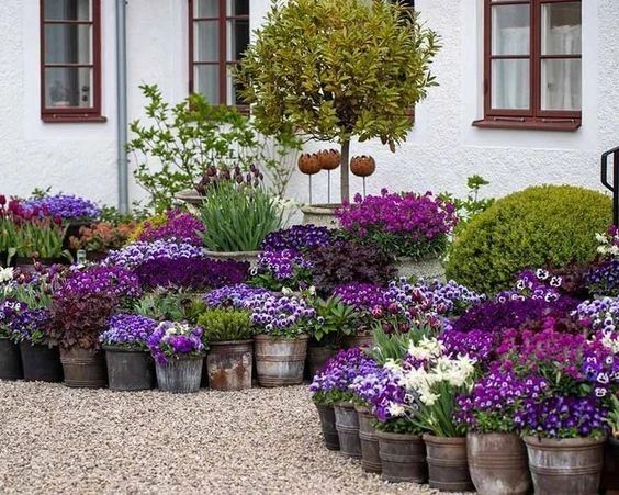 容器花園創意：在小空間種植植物，看看有合適你的嗎？