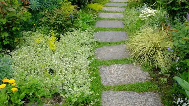 你的院子，怎能少了精致的花園小徑
