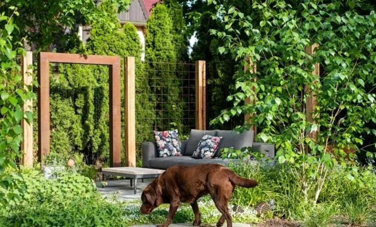 寵物友好型花園設(shè)計(jì)：讓毛孩子安全撒歡的細(xì)節(jié)