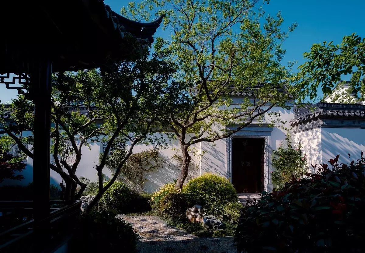 走進園林，方才知春色幾許！