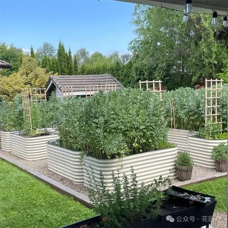 建造花園應該關注哪些問題？